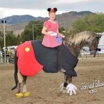 Horse Wearing Mickey Mouse Costume