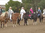 Photo of Riders and Horses