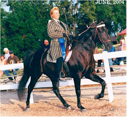 Anita Howe with Her Naturally Gaited Tennessee Walker
