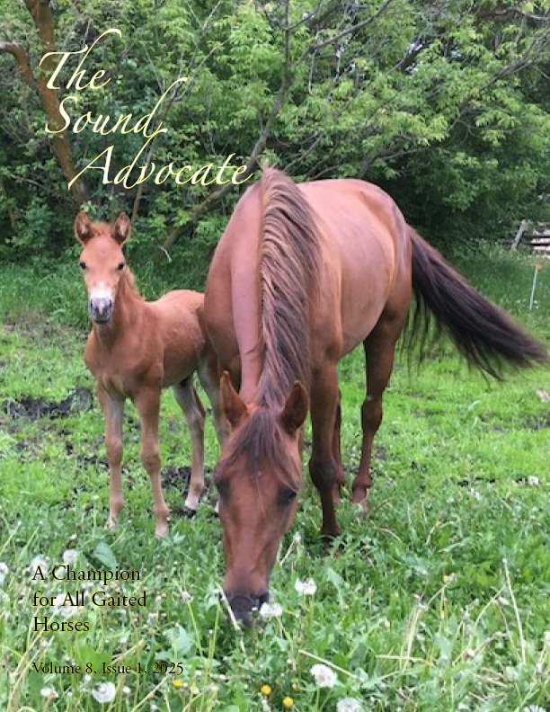 Issue 1 2025 cover